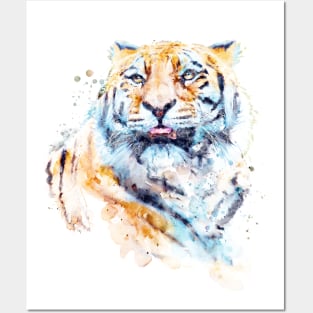 Siberian Tiger Upward Gaze Posters and Art